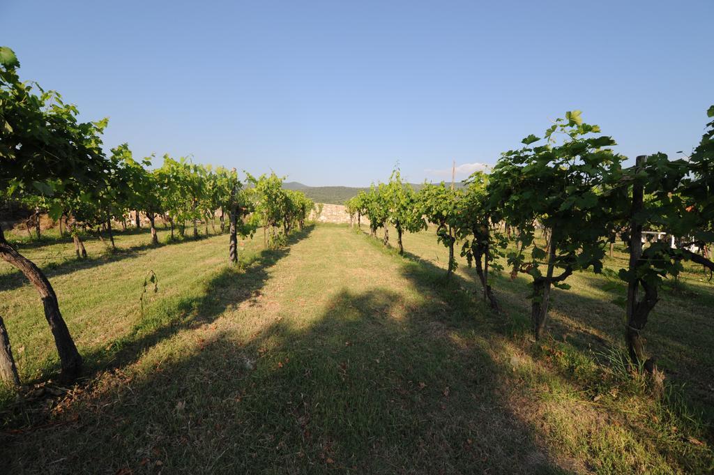 Agriturismo Scorgiano エクステリア 写真